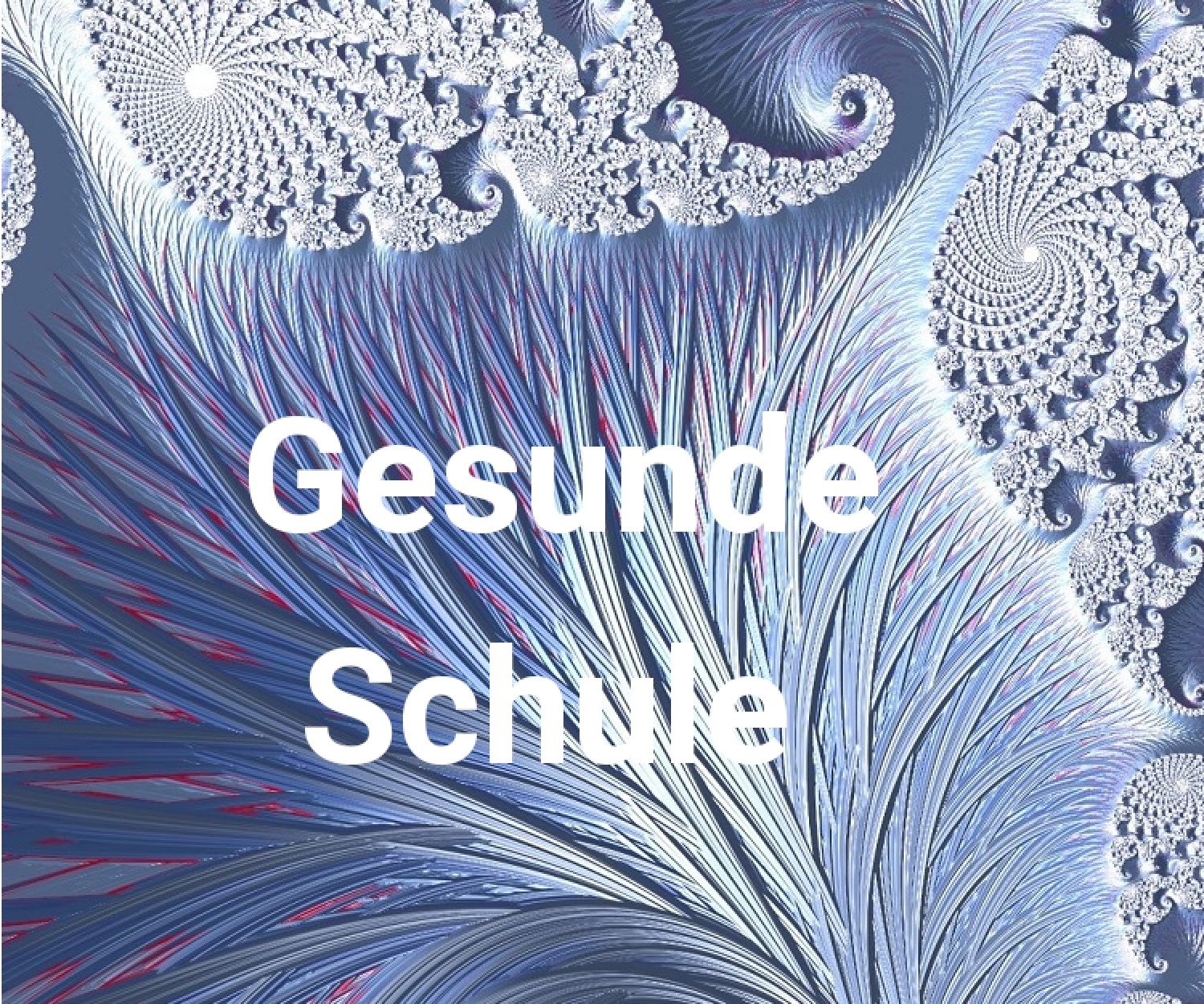 Gesunde-Schule